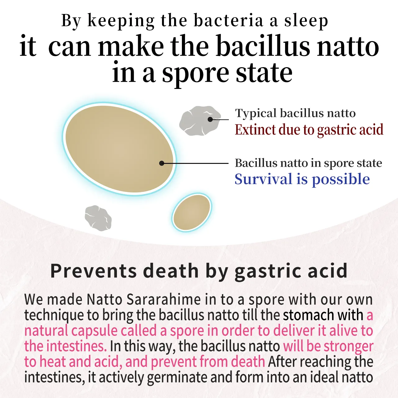 The secret is to make natto bacteria spores
