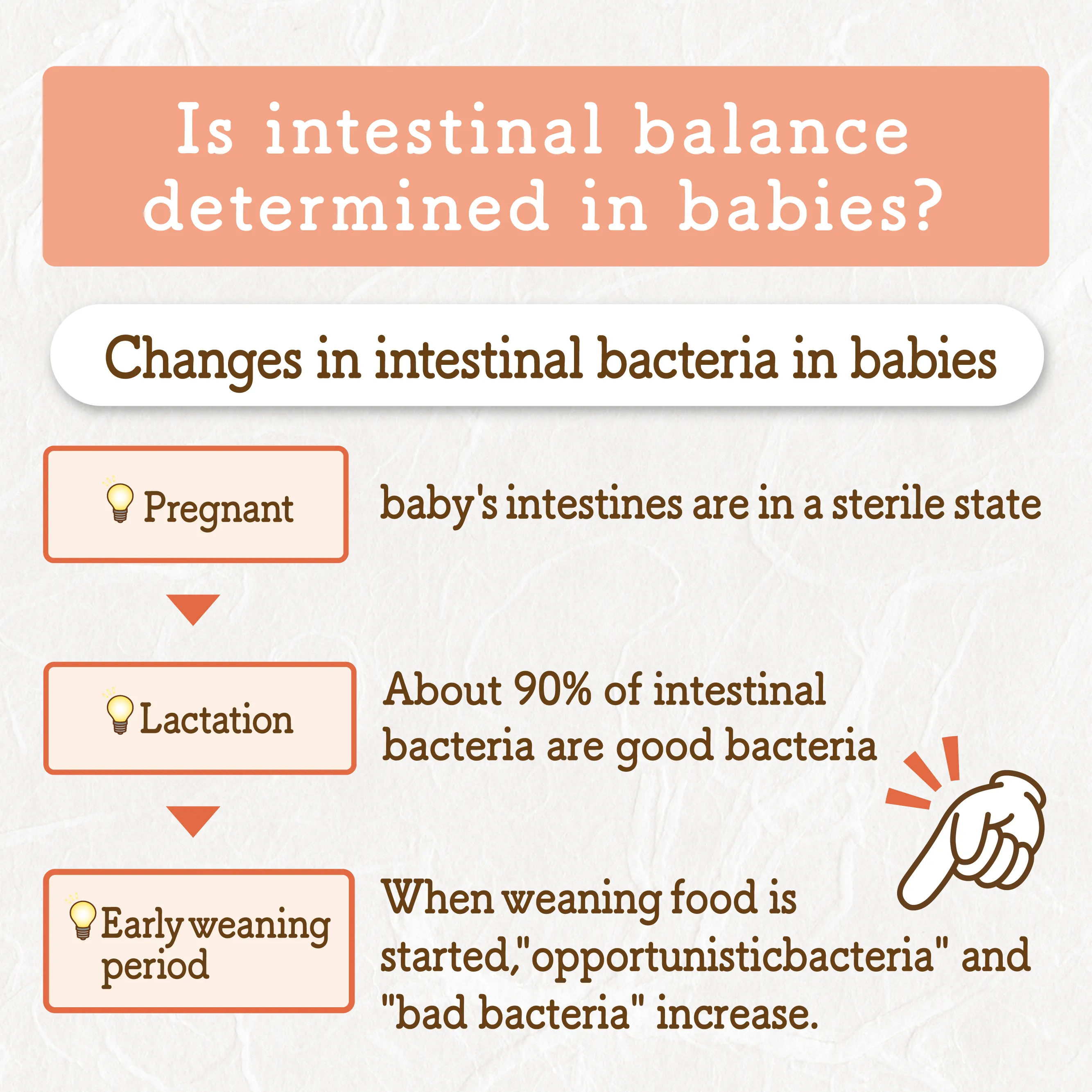 Intestinal environment is among the baby